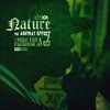It's Like That (Explicit) - Nature&Ali Vegas