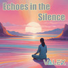 Echoes in the Silence - Valex