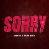 Sorry - Quantek&Nolan Blaze