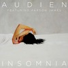 Insomnia (Single Version) - Audien&Parson James