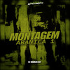 Montagem Aranica 1 (Explicit) - Djcharlesdz7