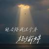 能否陪我过个冬 (陪我过个冬DJ版) - 杨瑜婷