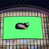 OIIA CAT Time Square - 冲浪哥