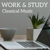 Prélude à l'après midi d'un faune, L. 86(Arr. for Flute and Piano) (纯音乐) - Vincent Lucas&Emmanuel Strosser