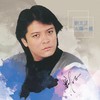 爱像什么 - 刘文正