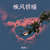 晚风很暖 - DJ.FLM