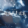 你当我是过客 (总莫名的难过) - 王娜