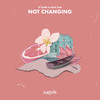 Not Changing - LÊ IZNER&Maui Sam