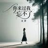 你来过我忘不了 - 龙翼