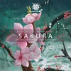 Sakura(Destruct Parade 2020 Anthem) - Adyoro&Yuda Sibu