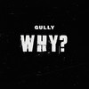 Why? (Explicit) - Gully