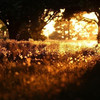 Luminescent - Skyvoice&Sparkle