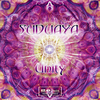 Silent Awareness (Original Mix) - Suduaya&By The Rain