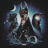 CÃO DE CAÇA - Salowl&Oliverzinn