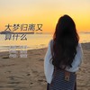 大梦归离又算什么 - 音宝