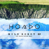 Wild Robot (Aurora Solovey Remix) - Hondo&Aurora Solovey