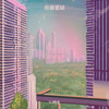 毋庸置疑 - DJ啊金