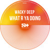 What R You Doing (Seb Skalski Mix) - Wacky Deep&Seb Skalski