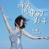 消失风中的影子 - 忆珊