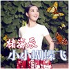 小小蝴蝶飞 - 褚海辰