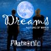 Dreams (Nature of Wires remix) - Platronic