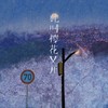 此时樱花又开 - 音格概念