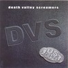 Blown It - DVS