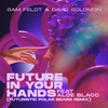 Future In Your Hands (feat. Aloe Blacc) (Futuristic Polar Bears Remix) - Sam Feldt&David Solomon&Aloe Blacc