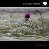 Versions - Atati