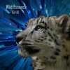 I want love you (Original Mix) - Bruno Oliver
