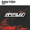 MTF (Original Mix) - Raw Fish