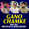 Gano Chamke - Ayaz Ali&Asad Sheikh&Wajid Ali