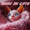 ¡Adiós! Mi gato - 安林瑶Robin