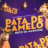Pata de Camelo Beco da Marcone (Explicit) - DJ MT7&DJ Gouveia&Mc Chá Original
