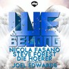We Belong (Original Mix) - Nicola Fasano&Steve Forest&Die Hoerer&Joel Edwards