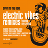 Electric Vibes - Down To The Bone&Roy Ayers