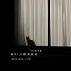 第57次取消发送 (DJ阿智版) - 菲菲公主&DJ阿智