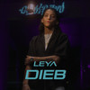 Dieb - Leya