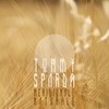 Non ci sto più (Explicit) - Tommy Sparda&Polo