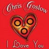 Our Love(feat. Amber Lee Baker) - Chris Goslow&Amber Lee Baker