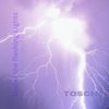 Under the Flashing Lights - Tosch