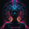 Elevation of Sound - Neon Music&Dj Alex