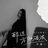 醉过方知酒浓 (DJ九零版) - 洋澜一