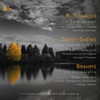 Violin Concerto in D Major, Op. 77: III. Allegro giocoso, ma non troppo vivace - London Symphony Orchestra&Endre Wolf