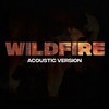 WILDFIRE (Acoustic Version) - Joakim Molitor&Caspar Camitz