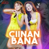 Ciinan Bana - Vita Alvia&Lala Widy