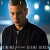 Rewind - Devlin&Diane Birch