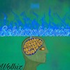 Schizophrenia (Explicit) - Wolhiz&PHONK WALKER&PHONKWAVE