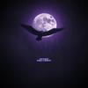 ICH FLIEGE - Naiko&nes929