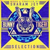 I Can See (Original Mix) - Sharam Jey&Branzei